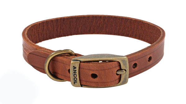 Bisley Leather Dog Collar