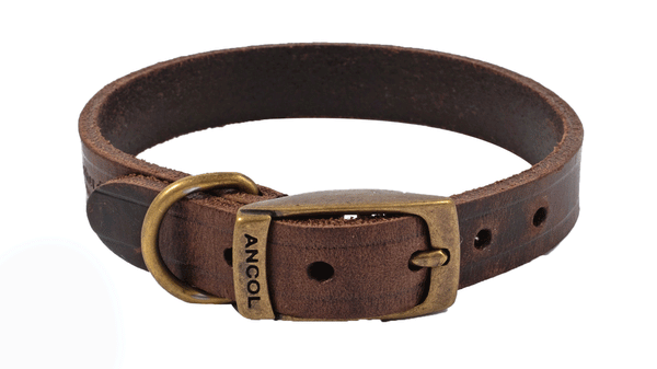 Bisley Heritage Leather Dog Collar | Dark Havana
