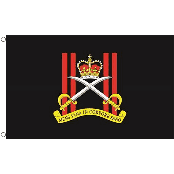 Army Physical Training Corps Flag