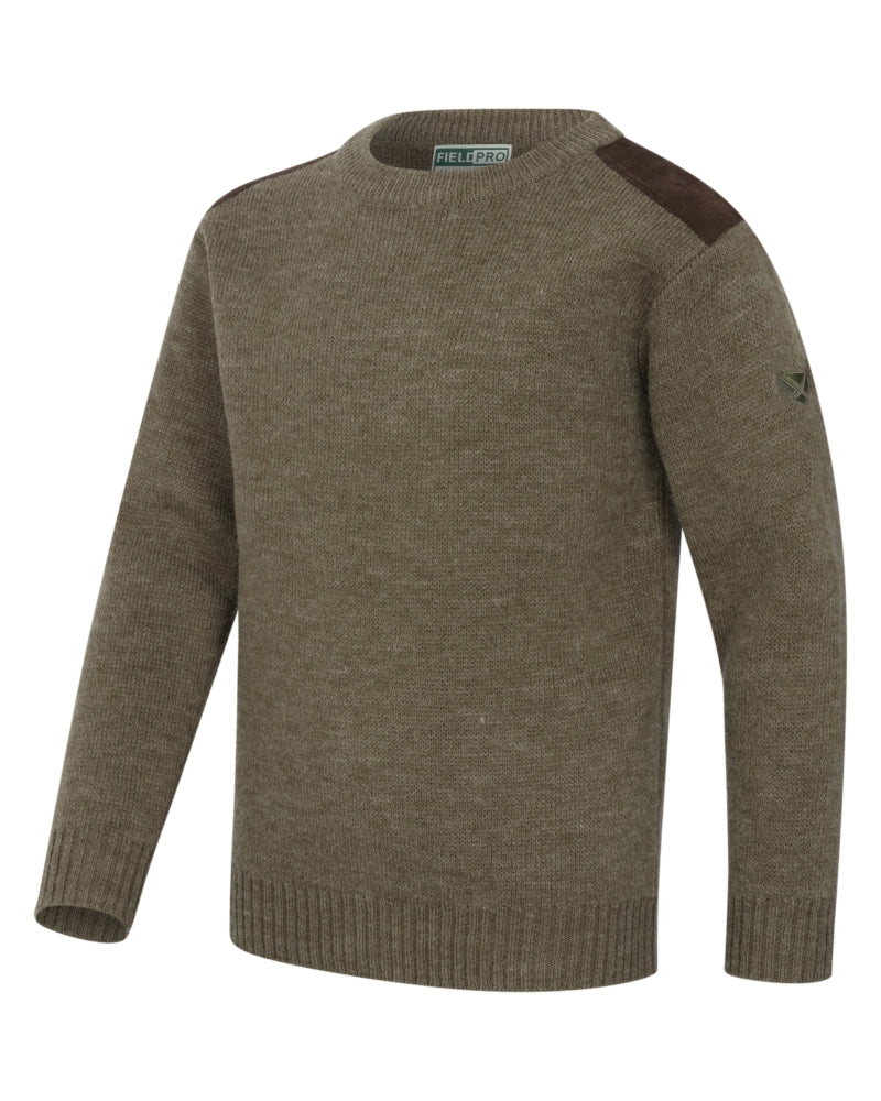 Hoggs of Fife Melrose II Crew Neck Pullover - Meadow Green